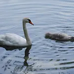 Ξενοδοχείο Der Erlhof Restaurant & Landhotel 3*