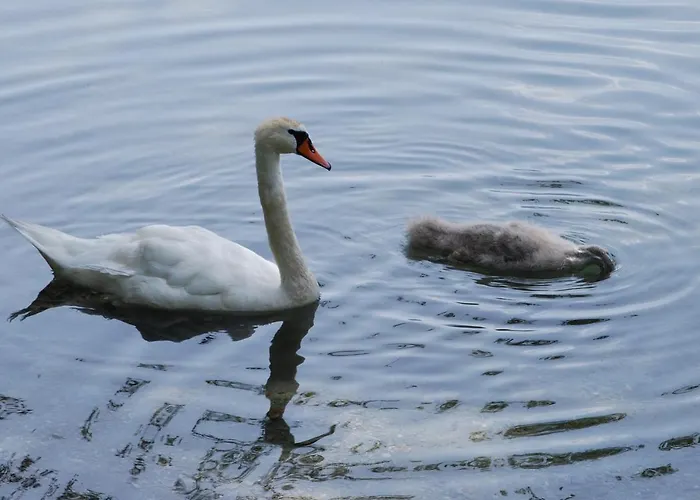 Hotel Der Erlhof Restaurant & 3*